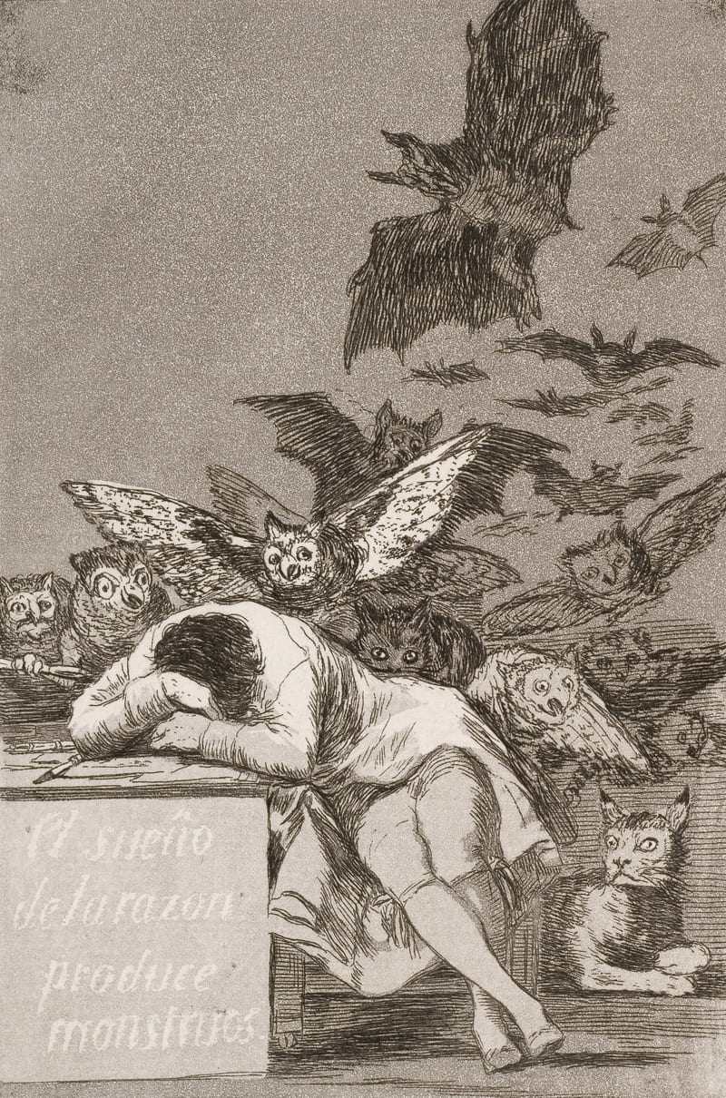 The Sleep of Reason Produces Monsters by Francisco Goya (1799) The Sleep of Reason Produces Monsters by Francisco Goya 1799